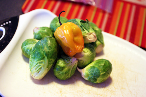 Blazing Brussels Sprouts Recipe